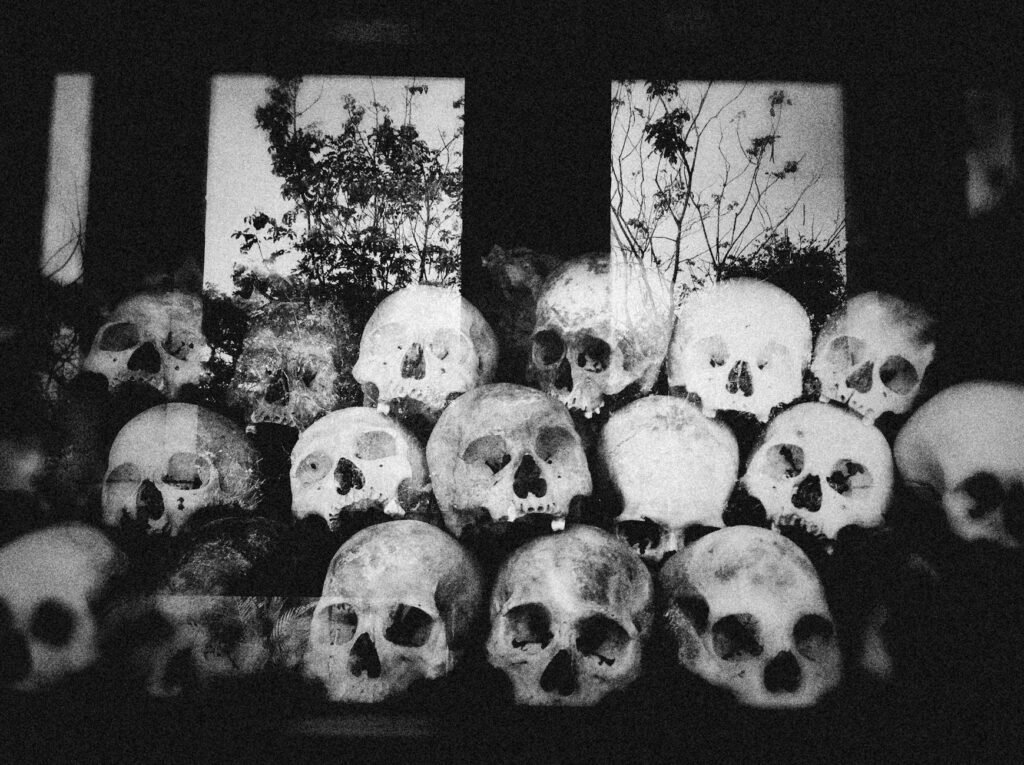 grayscale photo of skulls